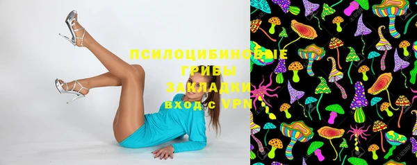 apvp Баксан