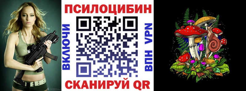 где купить   Ярцево  Галлюциногенные грибы Psilocybe 